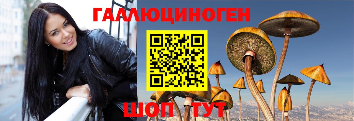 Галлюциногенные грибы мицелий  Вход с VPN  Рассказово 